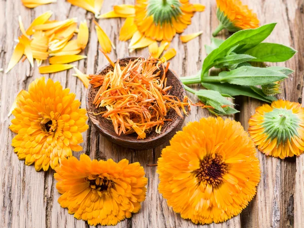 Caléndula o flores de caléndula en la vieja mesa de madera . — Foto de Stock