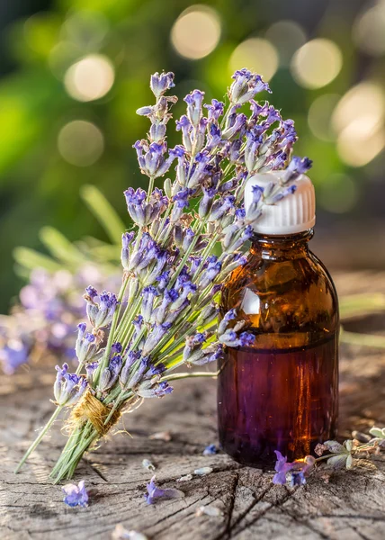 Bando de flores de lavandula ou lavanda e garrafa de óleo estão na — Fotografia de Stock