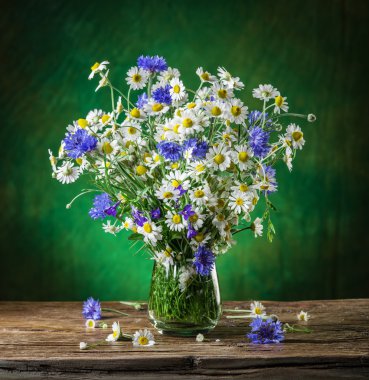 Chamomiles ve Peygamber ahşap üzerinde vazoda oluşan 