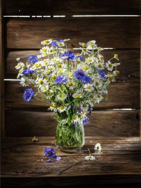 Chamomiles ve Peygamber ahşap üzerinde vazoda oluşan 