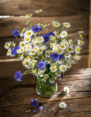 Chamomiles ve Peygamber ahşap üzerinde vazoda oluşan 