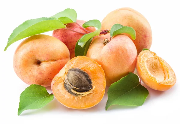Meruňkové ovoce a její průřez na bílém pozadí. — Stock fotografie