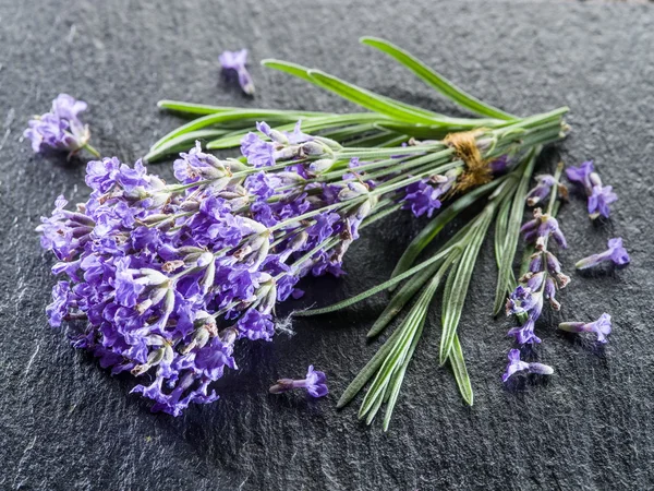 Bando de flores de lavandula ou lavanda em placa de grafite . — Fotografia de Stock