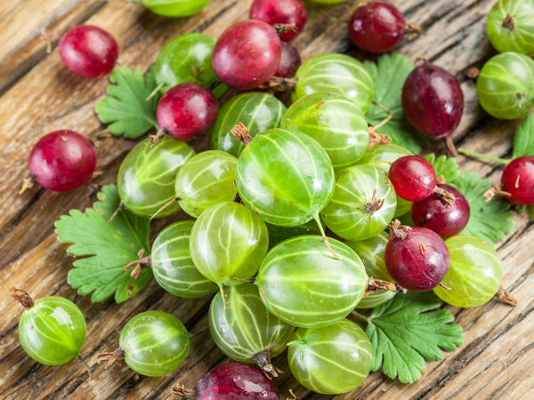 Gooseberries on the wooden table. 