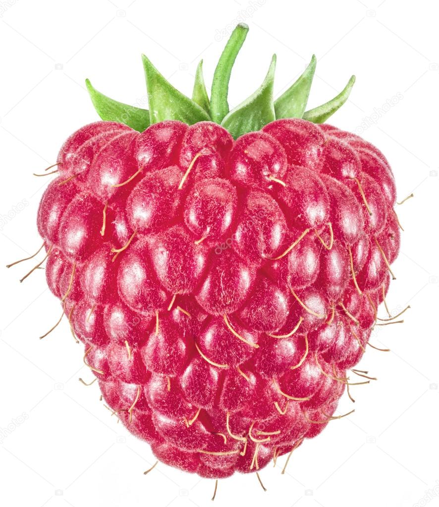 Ripe raspberry on the white background.