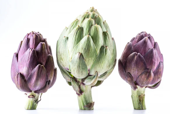 アーティチョークの花 白い背景に隔離された紫色の食用芽 — ストック写真