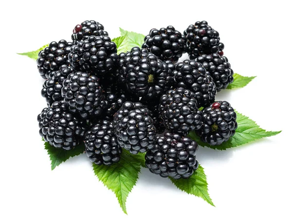 Blackberries Ежевикой Листья Изолированы Белом Фоне — стоковое фото