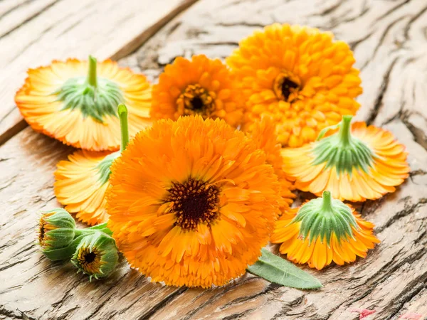 Calendula Virágok Régi Asztalon — Stock Fotó