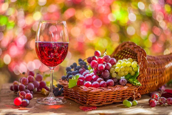 Sonbahar Olgunlaşmış Farklı Üzüm Çeşitleri Şarap Kadehleriyle Sakin Bir Hayattır — Stok fotoğraf