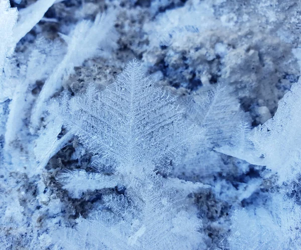 Κρύσταλλοι Χιονιού Σχηματίζουν Μεγάλη Δομή Του Χιονισμένου Φύλλου Φόντο Νιφάδων — Φωτογραφία Αρχείου