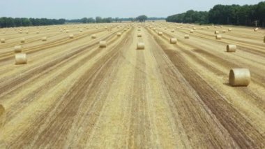 4K hava aracı görüntüleri, yazın silindirik samanlıklarla dolu büyük bir buğday tarlasını güzel bir manzaranın arka planına karşı gösteriyor..