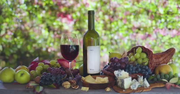 Şarabın Yanında Hayat Farklı Üzümler Sonbahar Meyveleri Sonbahar Yapraklarının Arka — Stok video