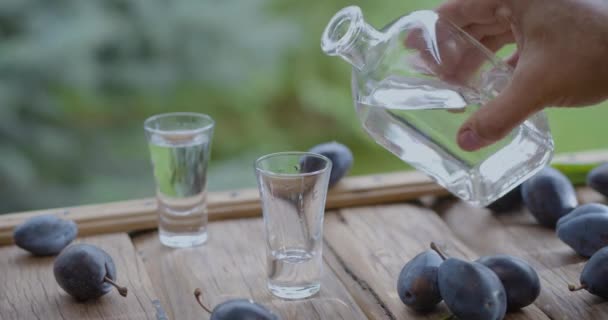 Szilvás Slivovice Slivovitz Vodka Pohárba Öntése Érett Szilva Hever Mindenfelé — Stock videók