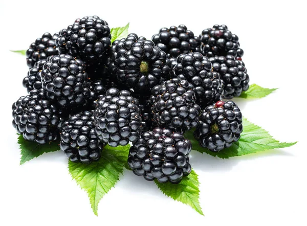 黑莓叶与白色背景隔离的黑莓 — 图库照片