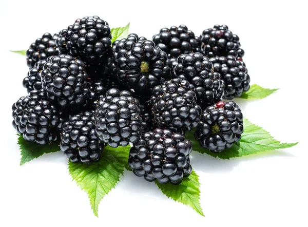 Brombeeren Mit Brombeerblättern Isoliert Auf Weißem Hintergrund — Stockfoto