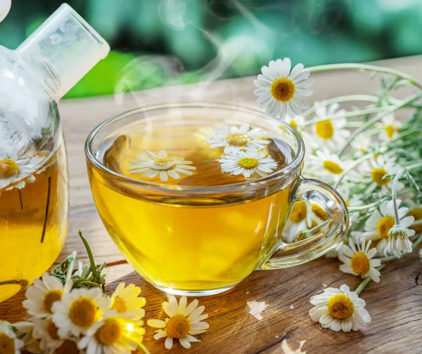 Kruidenkamille Thee Kamille Bloemen Buurt Van Theepot Thee Glas Landelijke — Stockfoto