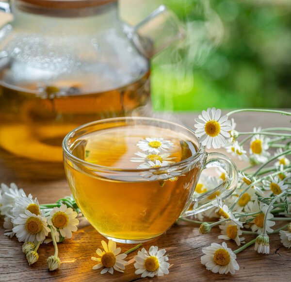 Herbal chamomile tea and chamomile flowers near teapot and tea glass. Rural or countryside background.