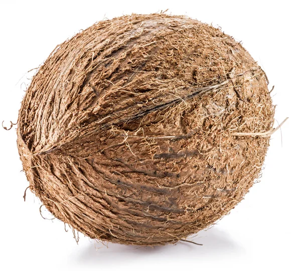 Coconut Stor Brun Tropisk Frukt Isolerad Vit Bakgrund — Stockfoto