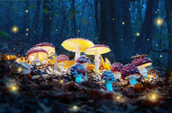 Mystical Fly Agarics Glow Mysterious Dark Forest Fairytale Background Halloween — Stock Photo, Image