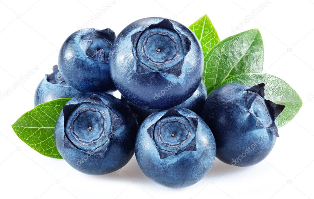 Blueberries with blueberry leaves isolated on a white background.