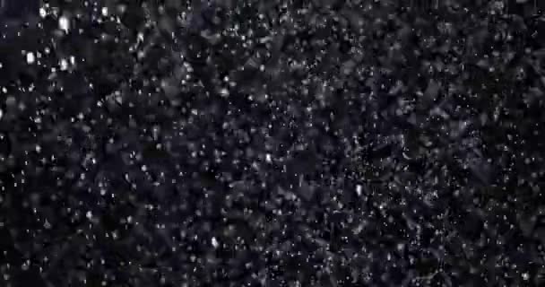 Caída Copos Nieve Naturales Aislados Sobre Fondo Negro Una Gran — Vídeos de Stock