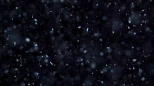 Düşen Doğal Kar Taneleri Kara Bir Zemin Üzerinde Izole Edilmiş — Stok video