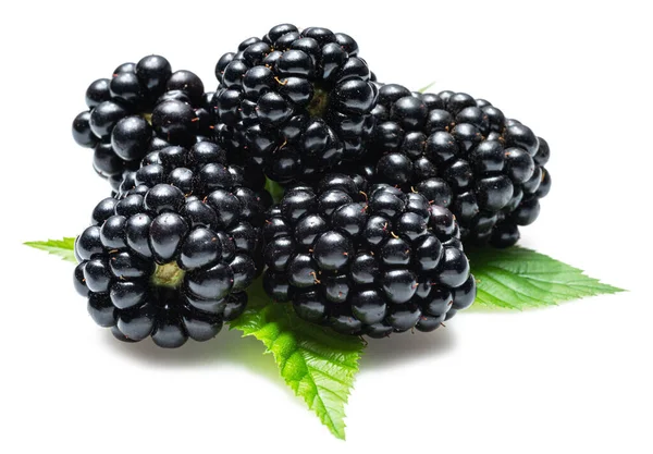 Brombeeren Mit Brombeerblättern Isoliert Auf Weißem Hintergrund — Stockfoto