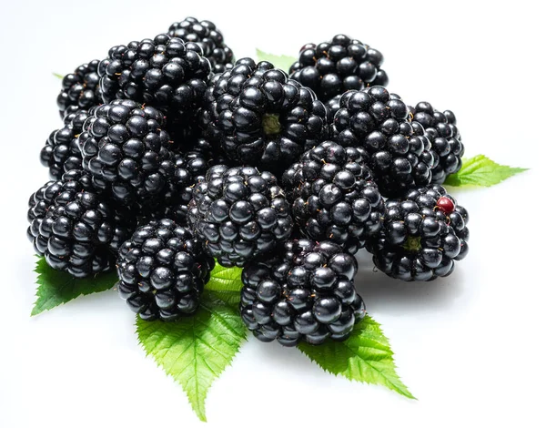 Brombeeren Mit Brombeerblättern Isoliert Auf Weißem Hintergrund — Stockfoto