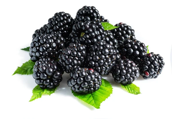 Blackberries Ежевикой Листья Изолированы Белом Фоне — стоковое фото