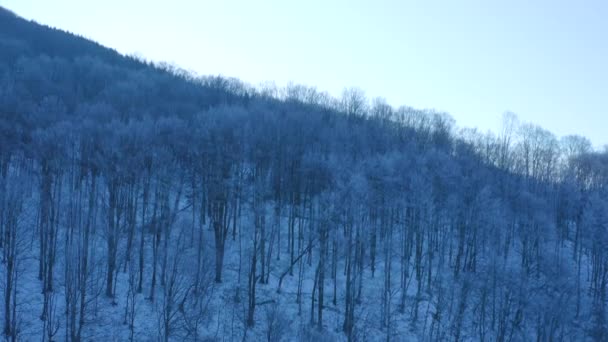 Krásné Zimní Panorama Zasněženého Horského Lesa Úsvitu Natočeného Kvadrokoptérou — Stock video