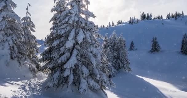 在美丽的冬季山水的衬托下 雪花缓缓落下 — 图库视频影像