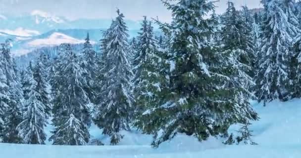 Långsamt Fallande Snö Bakgrund Vacker Vinter Berg Landskap — Stockvideo