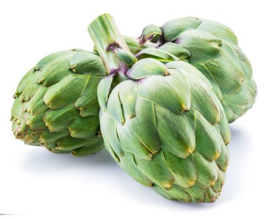 Enginar çiçeği yenilebilir tomurcuğu beyaz arkaplanda izole edildi.