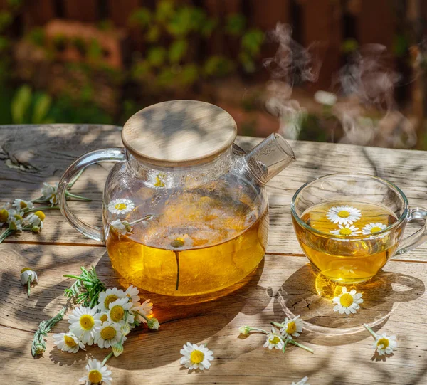 Chá Camomila Herbal Flores Camomila Perto Bule Chá Vidro Fundo — Fotografia de Stock