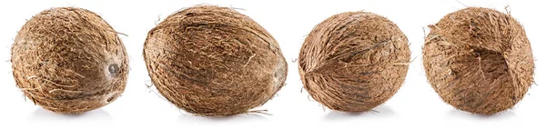 Kokosnüsse Große Braune Tropische Früchte Isoliert Auf Weißem Hintergrund — Stockfoto