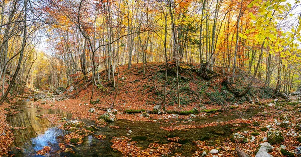 Красивый Осенний Пейзаж Лесу Горный Поток Между Цветными Желтыми Красными — стоковое фото