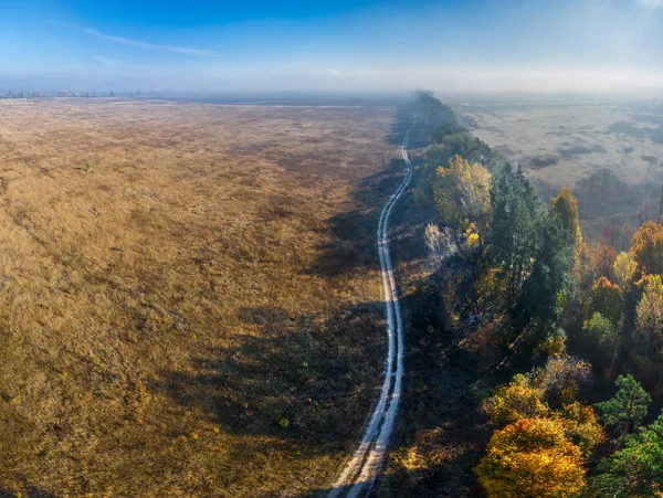 Sonbahar Tarlaları Orman Kemerleri Arasında Geçen Yol Hava Görüntüsü Doğa — Stok fotoğraf