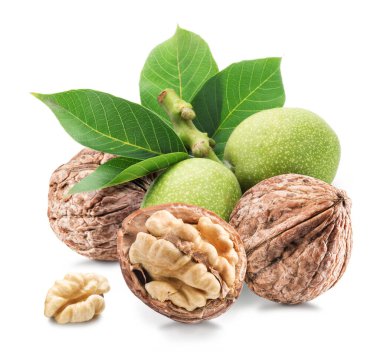 Yeşil kabuklu ceviz ve ceviz. Beyaz arka planda yapraklar..