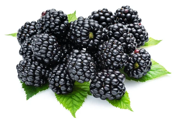 Blackberries Ежевикой Листья Изолированы Белом Фоне — стоковое фото