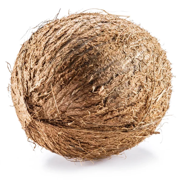 ココナッツ 白い背景に隔離された大きな茶色のトロピカルフルーツ — ストック写真