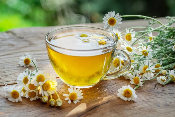 Kruidenkamille Thee Kamille Bloemen Buurt Van Theepot Thee Glas Landelijke — Stockfoto