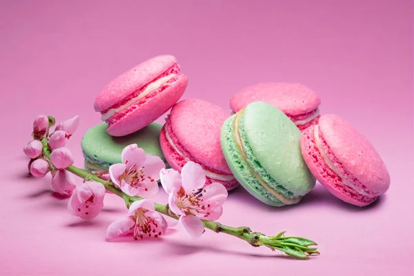 Bunte Süße Macarons Oder Makronen Kirschkekse Auf Rosa Hintergrund Mit — Stockfoto