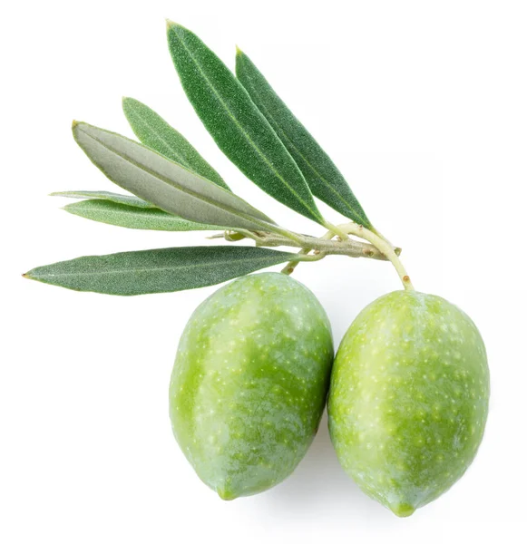 Green Natural Olives Leaves Isolated White Background — Stock Photo, Image