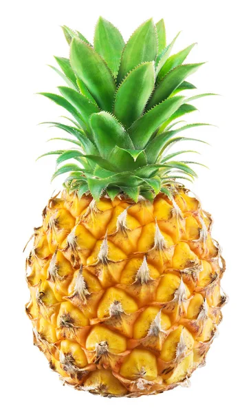 菠萝婴儿黄色热带水果 白色背景分离 — 图库照片