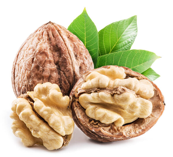 Walnuts and walnuts in green husk with leaves isolated on white background.