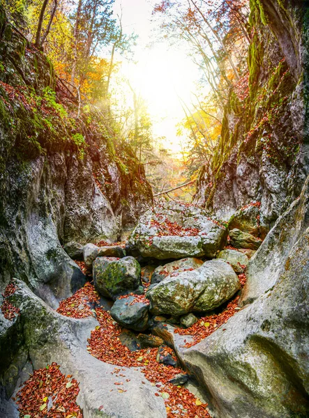 森の中の美しい秋の風景 太陽は山の中の峡谷で輝いている — ストック写真