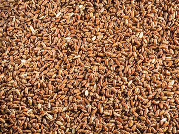 Esmer Pirinç Dış Gövdesi Kabuğu Olan Tam Tahıllı Pirinç Yakın — Stok fotoğraf
