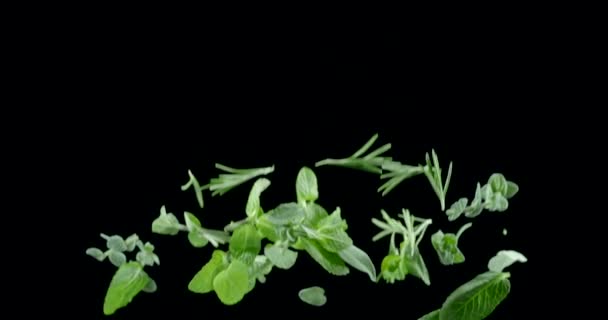 Foglie Insalata Erbe Fragranti Volano Cadono Uno Sfondo Nero Blackmagic — Video Stock