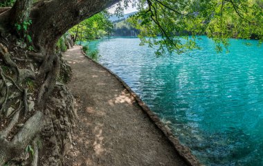 Plitvice Lakes Ulusal Parkı, Hırvatistan ve UNESCO 'nun Dünya Mirası' ndaki en eski ve en büyük ulusal parklardan biri. Şelaleler, göl ve parkın içinde yürüyüş yolları. Avrupa 'yı gezmek.