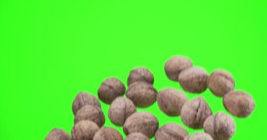 Birkaç ceviz yavaşça yükselir ve yeşil arka plan üzerine düşer (kroma anahtarı). Yavaş çekim 300 fps